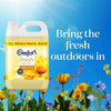 Comfort Fresh Sunshiny Days Fabric Conditioner Softener with Motion-Activated Fragrance Technology 100 Days of Freshness 160 washes (4.8 L)