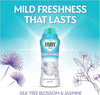 Fairy In-Wash Scent Booster 495g, Silk Tree Blossom & Jasmine, Mild Freshness That Lasts