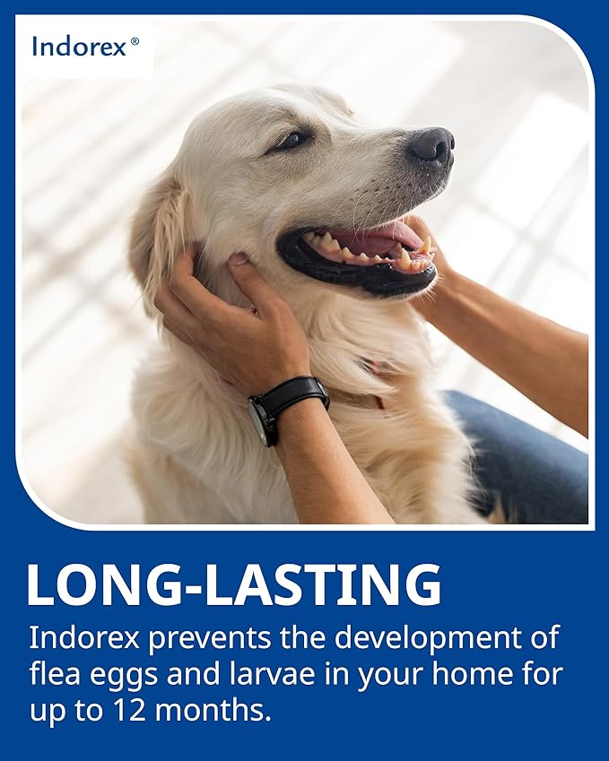 Indorex Defence Household Flea Spray | 2 x 500ml Cans | Protect Home from Fleas & House Dust Mites | Long-Lasting Protection for Up to 12 Months