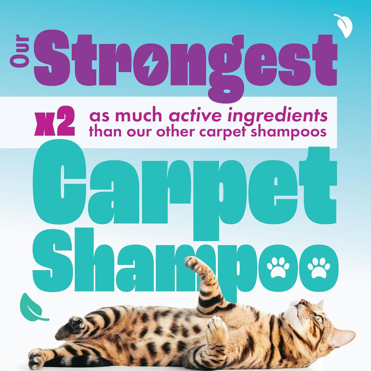 Dirtbusters Pet Pro Carpet Cleaner Shampoo Solution (5L) Deep Cleaning Stain Remover With Odour Neutraliser To Remove Dog & Cat Urine, Makes 500L Of Carpet Cleaner Solution