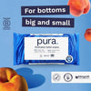 Pura Flushable Moist Toilet Tissue Wipes, 1 Pack of 40 Wet Wipes, 100% Plastic Free, 99% Water Clean Washlets, Certified 'Fine to Flush' Biodegradable, Compostable, Vegan, Gentle Clean