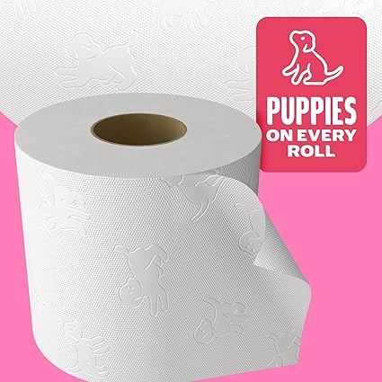 Andrex Family Soft Toilet Tissue 45 Rolls (Previously Andrex Gentle Clean) Gentle on your Family's skin– Bulk Pack of 45 Toilet Rolls, FSC Certified
