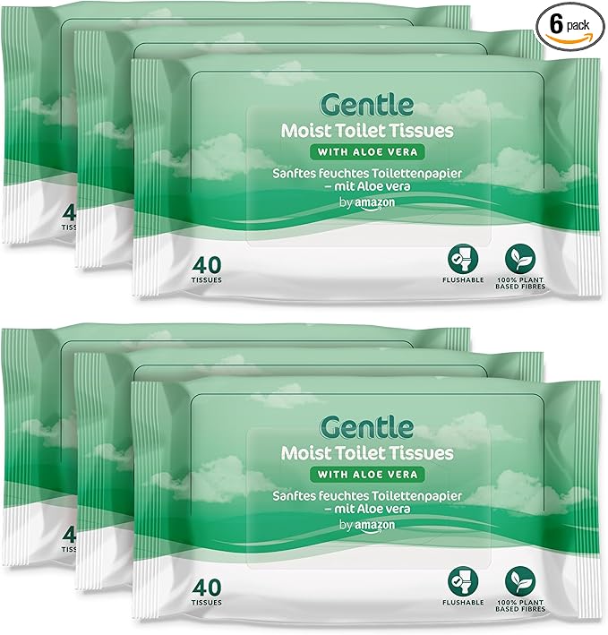 Gentle Moist Toilet Tissues with Aloe Vera, Flushable, 240 Count (6 Packs of 40 sheets) (Previously Presto!)